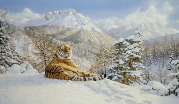 Taiga Tiger Oil Paintings